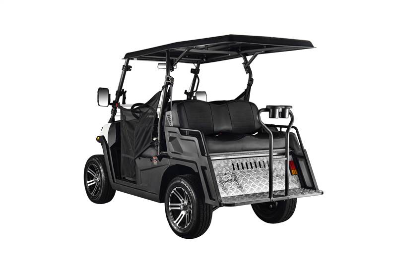 LSV 250/300 Golf