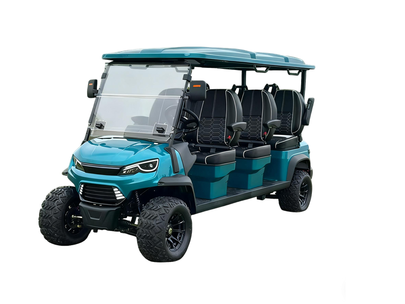 LSV GOLF CART-6